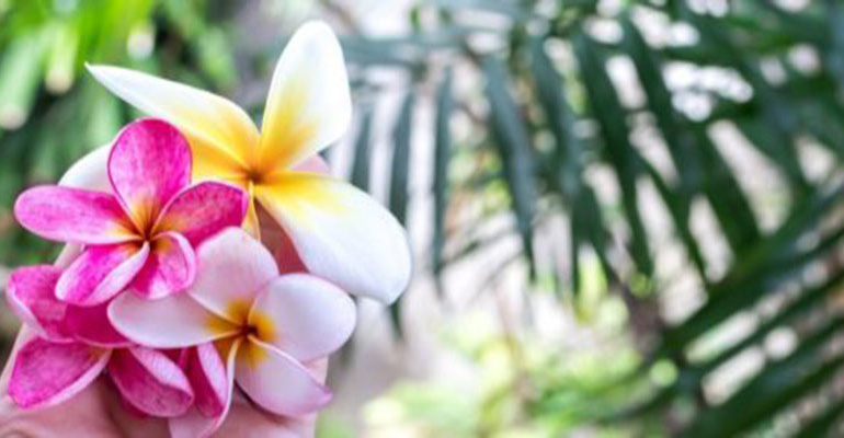 Massages that will get you refreshed this monsoon