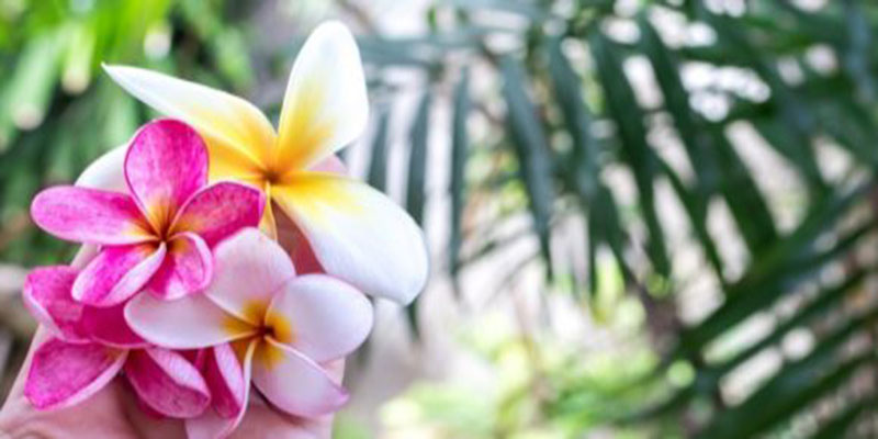 Massages that will get you refreshed this monsoon